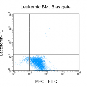 Figure 2: Flow cytrometric analysis of bone marrow (BM) from a leukemia patient after fixation and pemeabilization using GAS-002, followed by immunostaining for lactoferrin and MPO-C2.